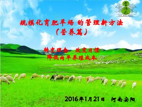 转变理念、改变习惯,降低肉羊养殖成本
