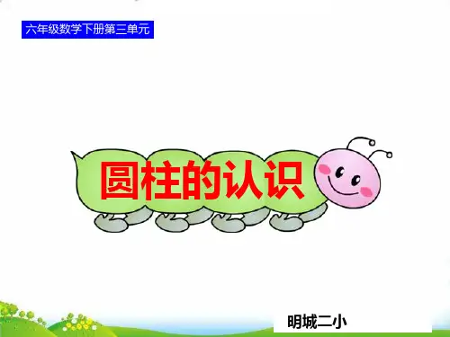 六年级下册数学PPT-圆柱的认识-人教版(13)(13张)-精品课件