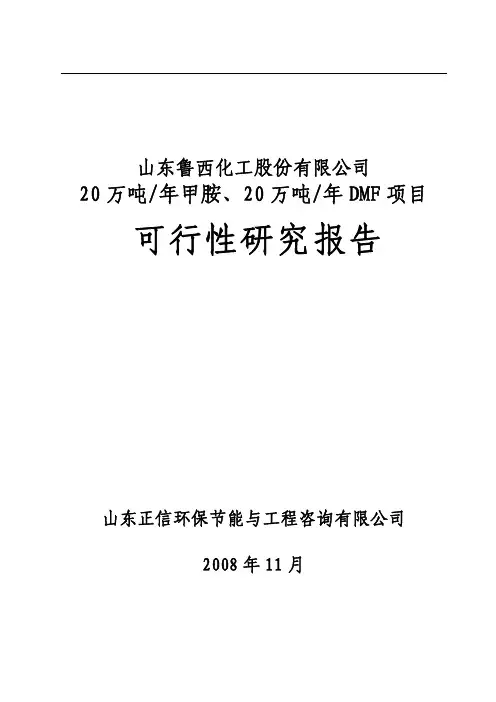 20万吨每年甲胺、20万吨每年DMF项目