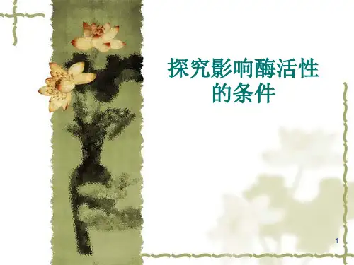 人教版高中生物必修一第5章第1节降低化学反应活化能的酶---探究影响酶活性的条件教学课件(共14张PPT)