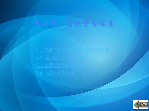 国际金融第7章