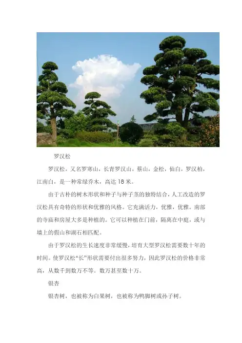 适合庭院种植的树木