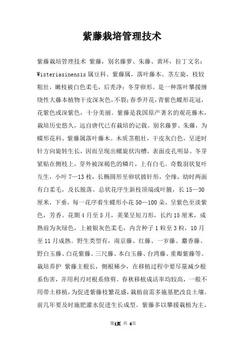紫藤栽培管理技术