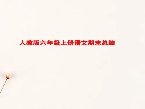 小学6年级语文重点知识
