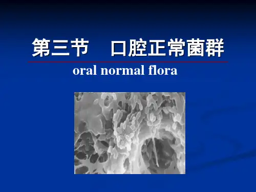 02 正常口腔菌群之一最终版.ppt