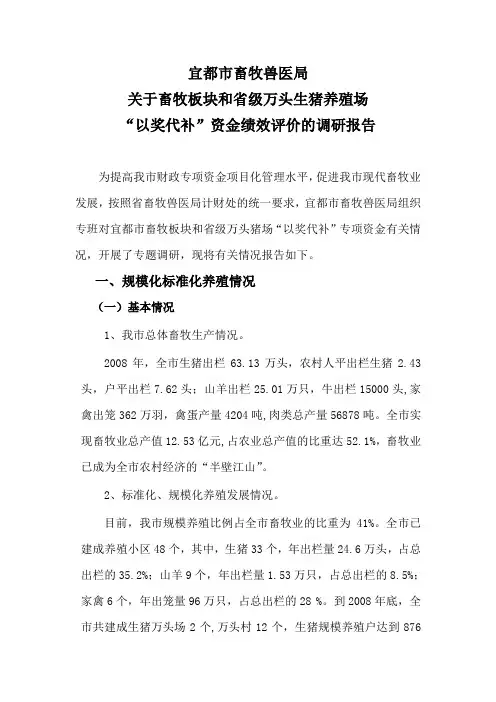 宜都市资金绩效评价的调研报告