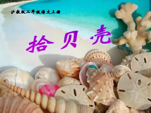 二年级上册《拾贝壳》(沪教版)