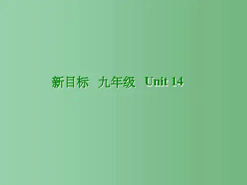 九年级英语全册《Unit 14  Have you packed yet-Section B 1》课