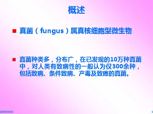 五单元_第四章 _第三节 真菌(1)