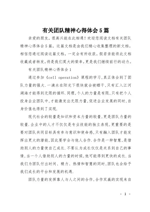 有关团队精神心得体会5篇