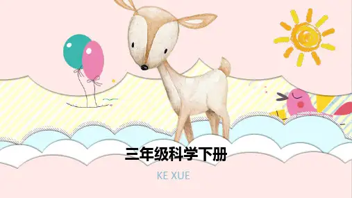 冀教版-科学-三年级下册-冀人版三年级科学下册 1.1 生物与非生物 课件(共17张PPT)