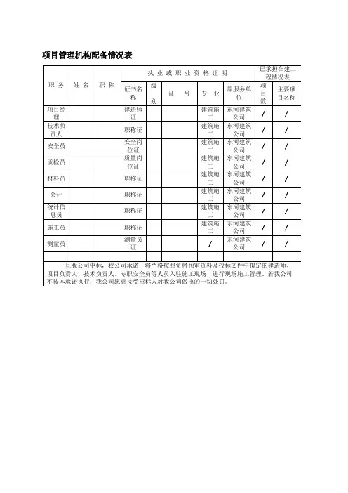 项目管理机构配备情况表 3