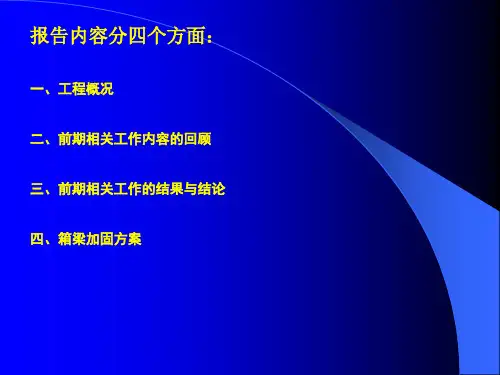 宁高公路秦淮河大桥加固方案精品文档31页