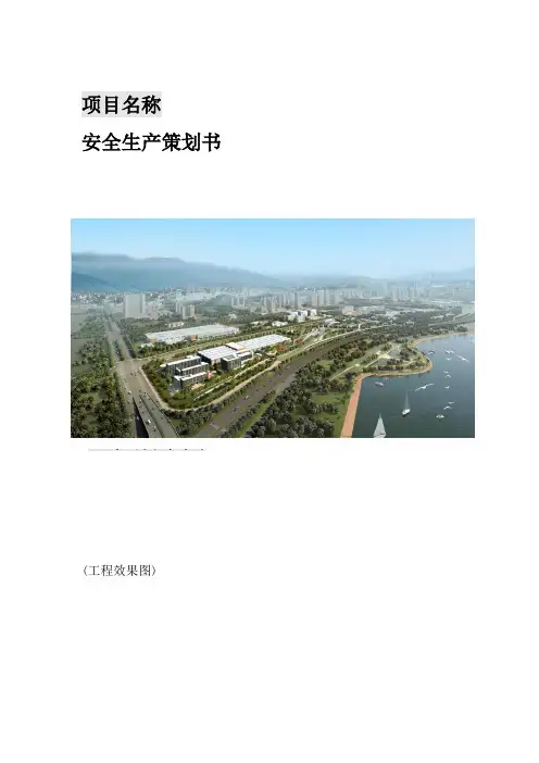 项目安全生产策划书模板