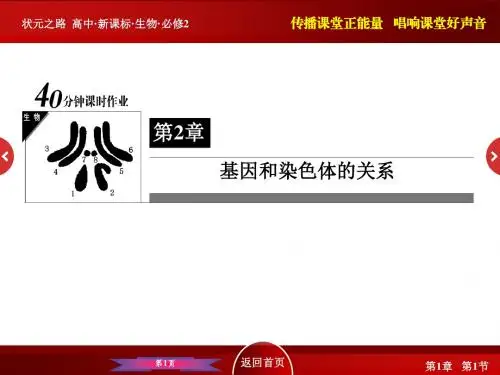 【状元之路】高一生物人教版必修2课件：2-3《伴性遗传》