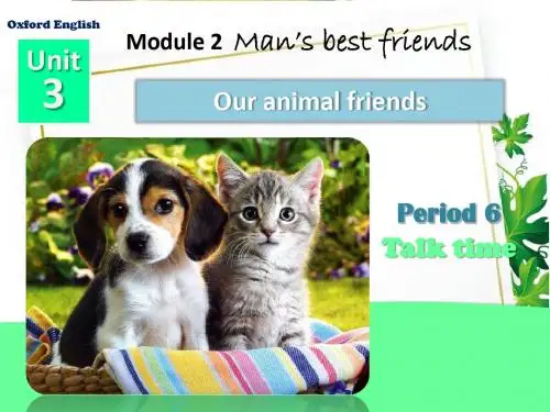 牛津深圳初中英语七下《Module2 Unit 3 Our animal friends.》PPT课件 Period 6