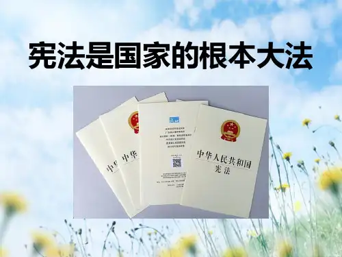 《宪法是国家的根本大法》参与政治生活PPT课件三