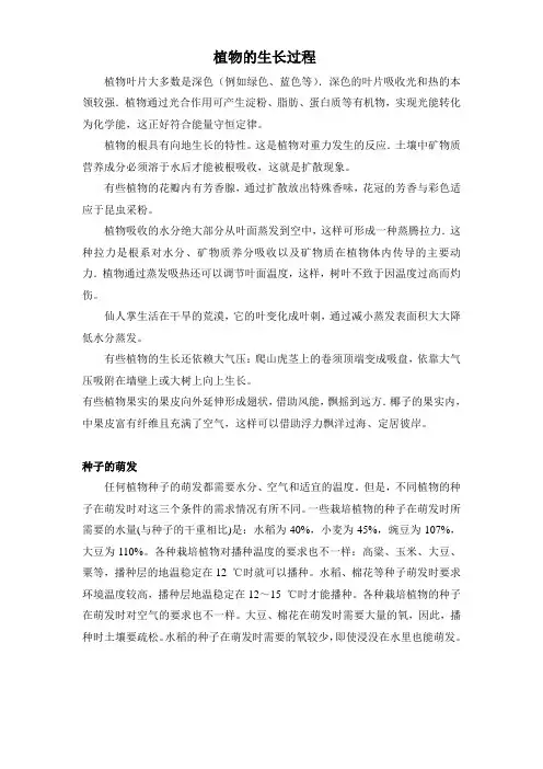 植物的生长过程