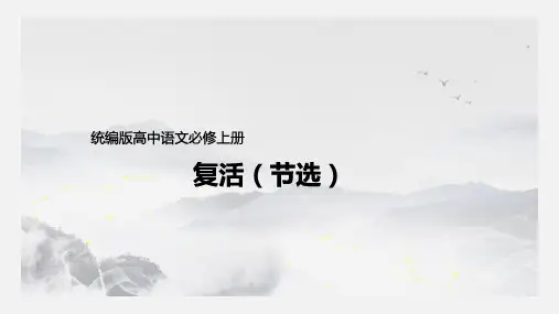 《复活》课件