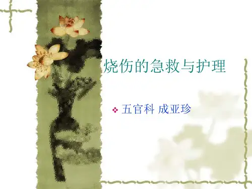 烧伤的急救与护理精品PPT课件