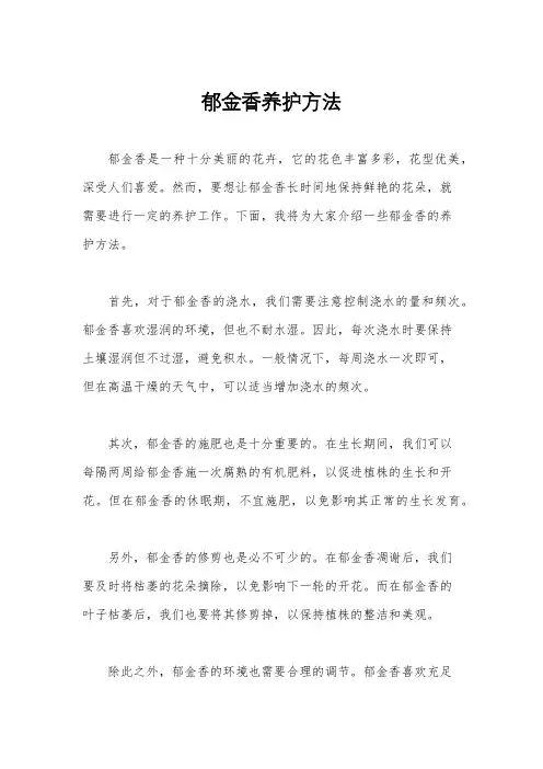 郁金香养护方法