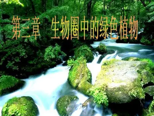 藻类 苔藓和蕨类植物  初中生物课件