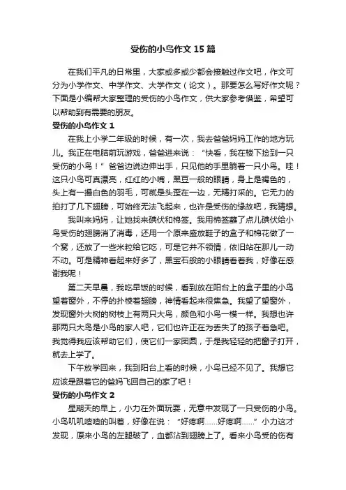 受伤的小鸟作文15篇