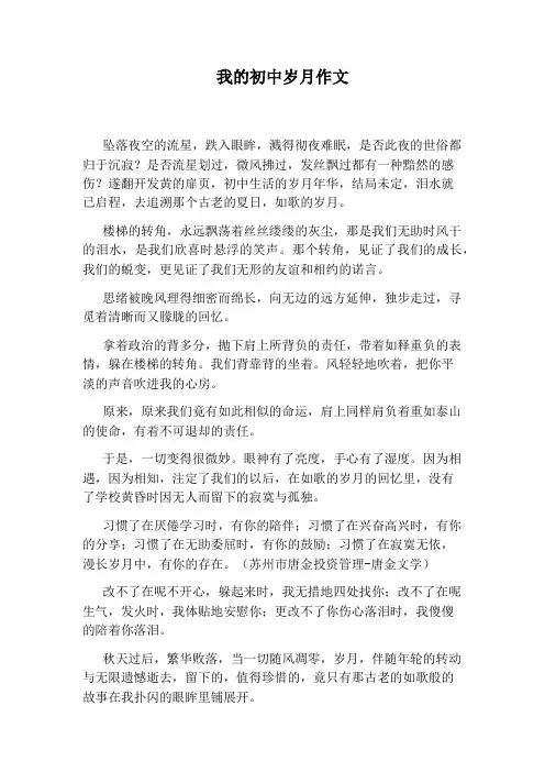 我的初中岁月作文