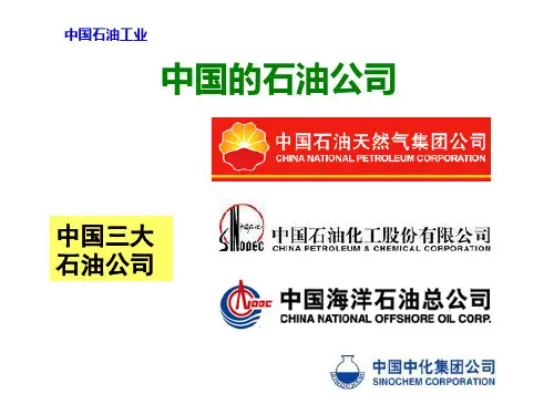 石油公司简介
