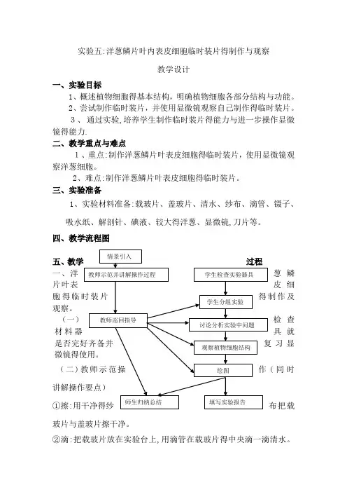 实验五:洋葱鳞片叶内表皮细胞临时装片的制作雨观察