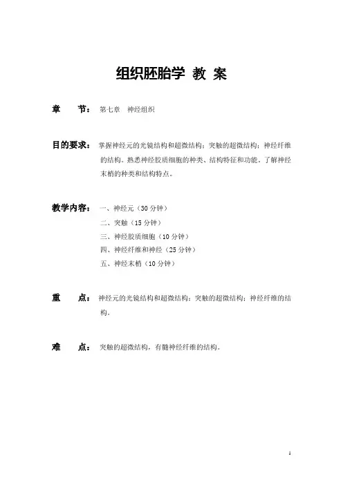 《组织学与胚胎学》教案——神经组织(人卫版)