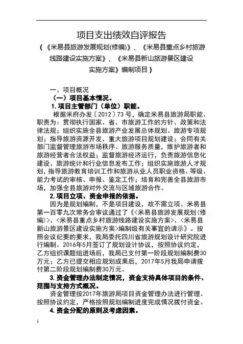 项目支出绩效自评报告