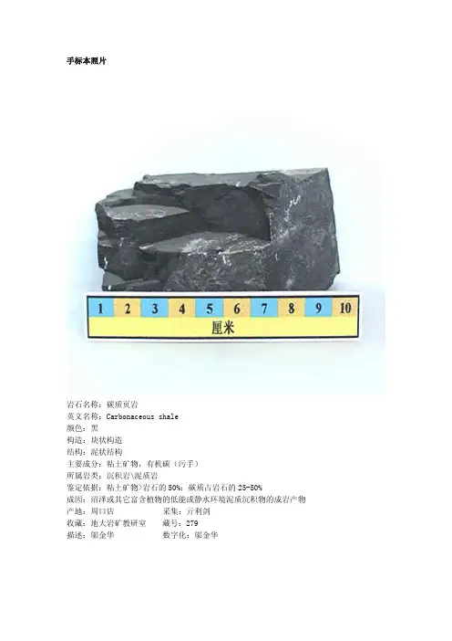 碳质页岩