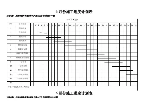 6月施工进度计划表