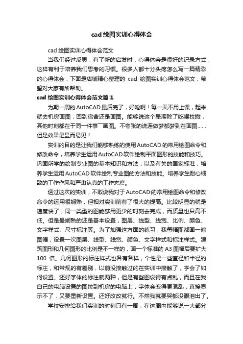 cad绘图实训心得体会