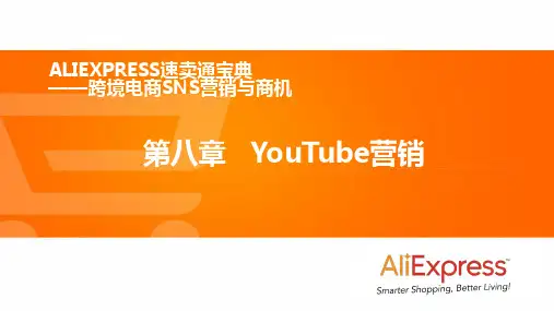 第八章 YouTube营销