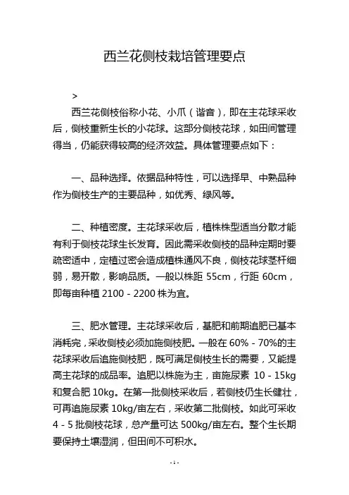 西兰花侧枝栽培管理要点