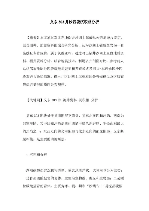 义东303井沙四段沉积相分析