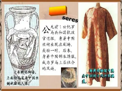 两汉时期的对外交流 PPT课件7 川教版