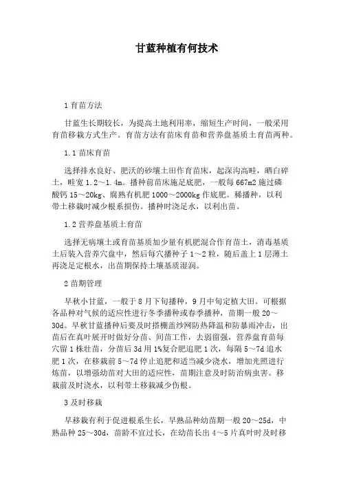 甘蓝种植有何技术