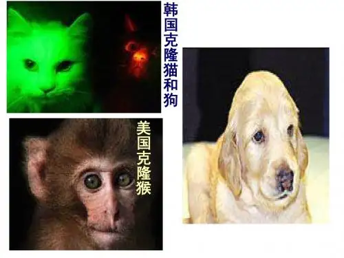 克隆技术的伦理问题张