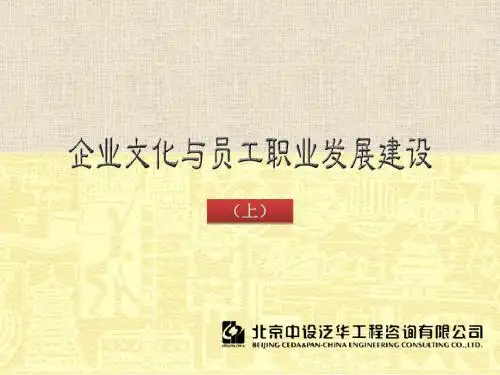 精编中设泛华-企业文化建设(上)资料