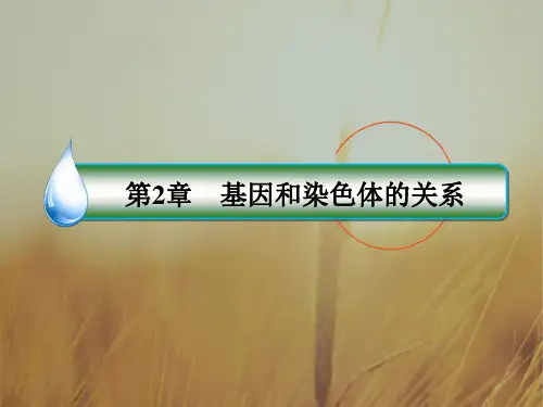 2018学年高一生物必修二课件：2-1-2受精作用
