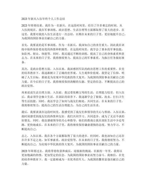 入伍年终个人工作总结