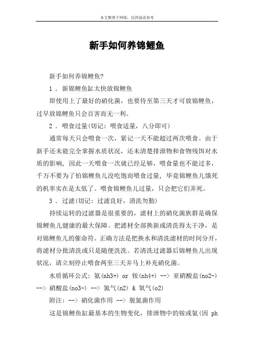 新手如何养锦鲤鱼