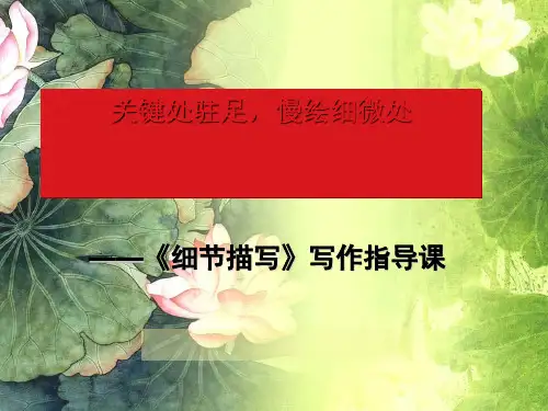关键处驻足,慢绘细微处——《细节描写》初中作文指导课PPT (共17张PPT)