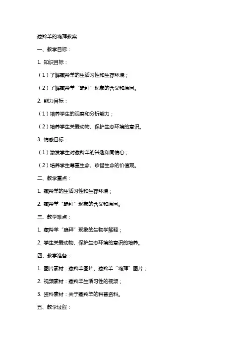 藏羚羊的跪拜教案 2