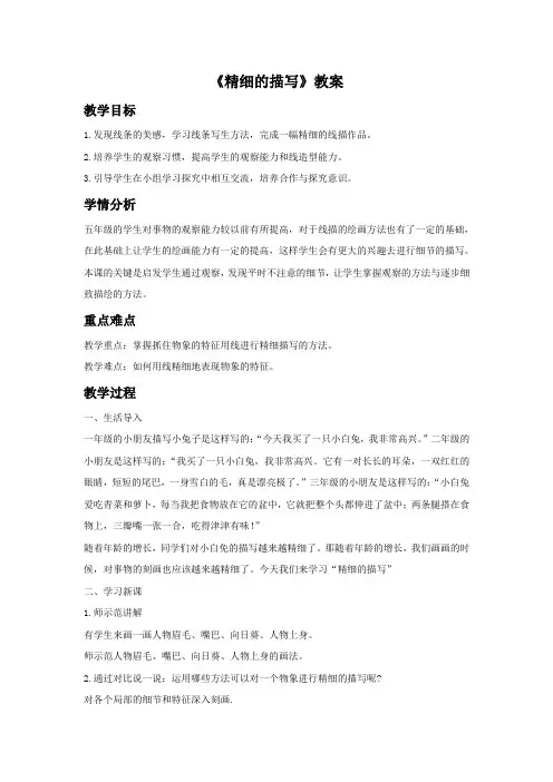 人美版美术五年级下册《精细的描写》教案1