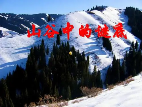 山谷中的谜底第二课时