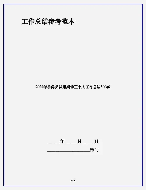 2020年公务员试用期转正个人工作总结500字